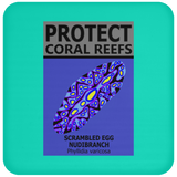 PCRS S EGG C