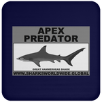 AP G HAMMERHEAD C