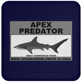 AP G HAMMERHEAD C