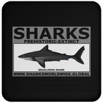 SSPX MEGALODON C