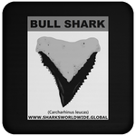 GR BULL SHARK T C