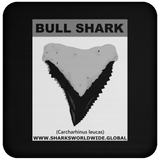 GR BULL SHARK T C