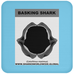 GR BASKING SHARK J C