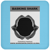 GR BASKING SHARK J C