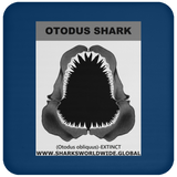 GR OTODUS J C