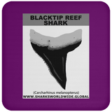 GR BLACKTIP REEF T C