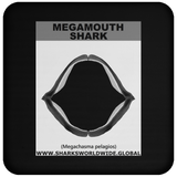 GR MEGAMOUTH J C