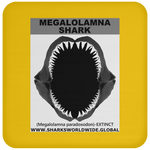 GR MEGALOLAM J C
