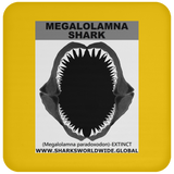 GR MEGALOLAM J C