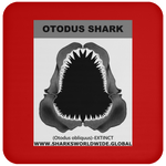 GR OTODUS J C