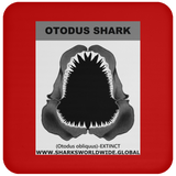 GR OTODUS J C
