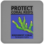 PCRS BIRDS C