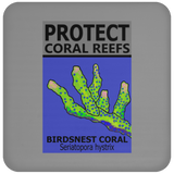 PCRS BIRDS C