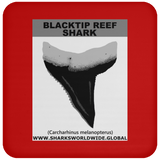 GR BLACKTIP REEF T C