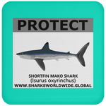 PRS SHORTFIN V2 C