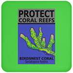 PCRS BIRDS C