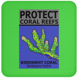 PCRS BIRDS C