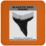 GR BLACKTIP REEF T C