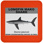 SSP LONGFIN C