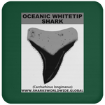 GR OCEANIC WT T C