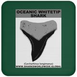 GR OCEANIC WT T C