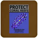 PCRS S EGG C