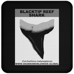 GR BLACKTIP REEF T C