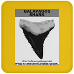 GR GALAPAGOS T C