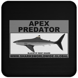AP BLACKTIP REEF C
