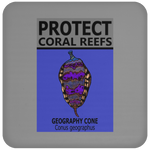 PCRS GEO C