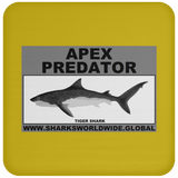 AP TIGER SHARK C