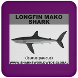 SSP LONGFIN C