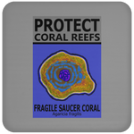 PCRS SAU C