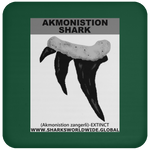 GR AKMONISTION T C