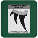 GR AKMONISTION T C