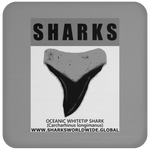GR SRS T OCEANIC WT C