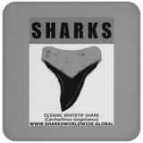 GR SRS T OCEANIC WT C