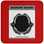 GR BASKING SHARK J C