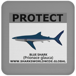 PRS BLUE SHARK V2 C