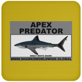 AP GREAT WHITE C
