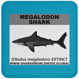 SSP MEGALODON C