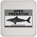 AP MEGALODON C