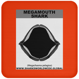 GR MEGAMOUTH J C