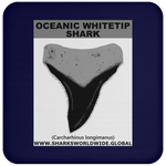 GR OCEANIC WT T C