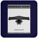GR WINGHEAD J C