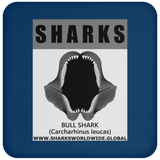 GR SRS J BULL SHARK C