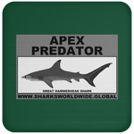 AP G HAMMERHEAD C