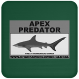 AP G HAMMERHEAD C