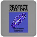 PCRS S EGG C