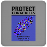 PCRS S EGG C